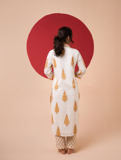 CHITRA HANDBLOCK STRAIGHT KURTA SET